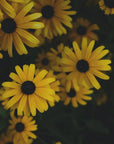 Sunflower Round Pendant Necklace