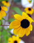 Sunflower Round Ring - Adjustable