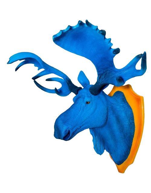 Electric Blue Moose Head Wall Decoration - Brix + Bailey